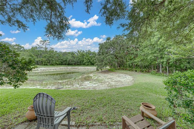 1808 TANGLEDVINE DRIVE, Wesley Chapel, FL 33543