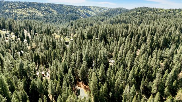 33837 Nary Red Rd, Alta, CA 95701