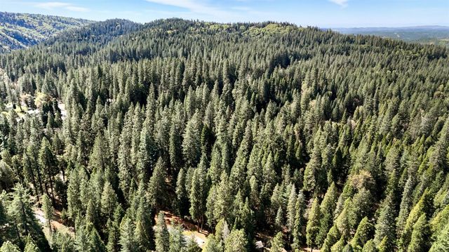 33837 Nary Red Rd, Alta, CA 95701