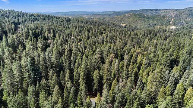 33837 Nary Red Rd, Alta, CA 95701