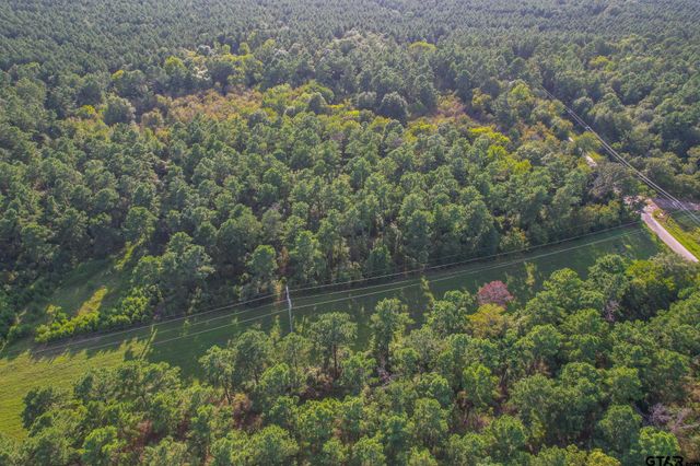 Tract 13 CR 4224, Frankston, TX 75763