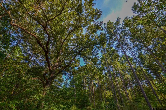 Tract 13 CR 4224, Frankston, TX 75763
