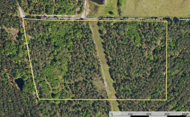 Tract 13 CR 4224, Frankston, TX 75763