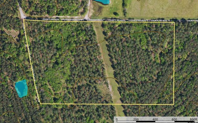 Tract 13 CR 4224, Frankston, TX 75763