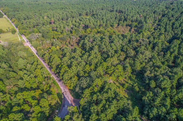Tract 13 CR 4224, Frankston, TX 75763