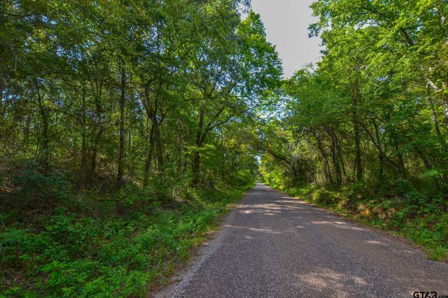 Tract 13 CR 4224, Frankston, TX 75763