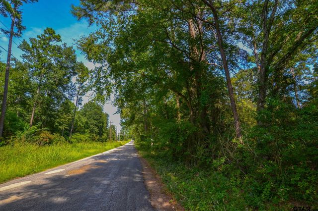 Tract 13 CR 4224, Frankston, TX 75763