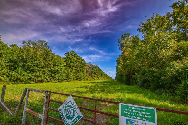 Tract 13 CR 4224, Frankston, TX 75763