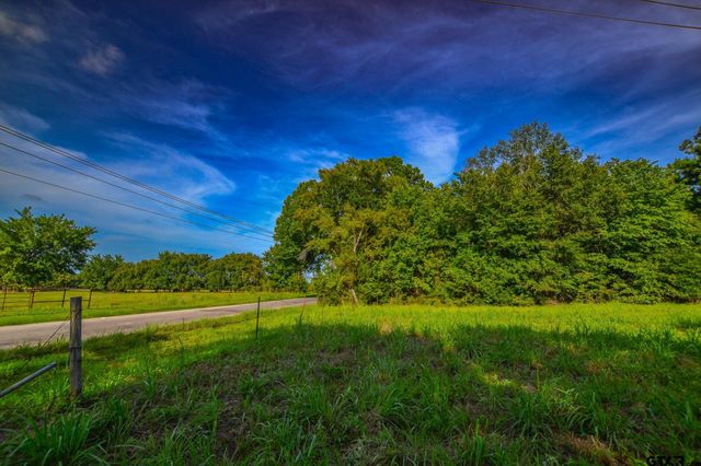 Tract 13 CR 4224, Frankston, TX 75763