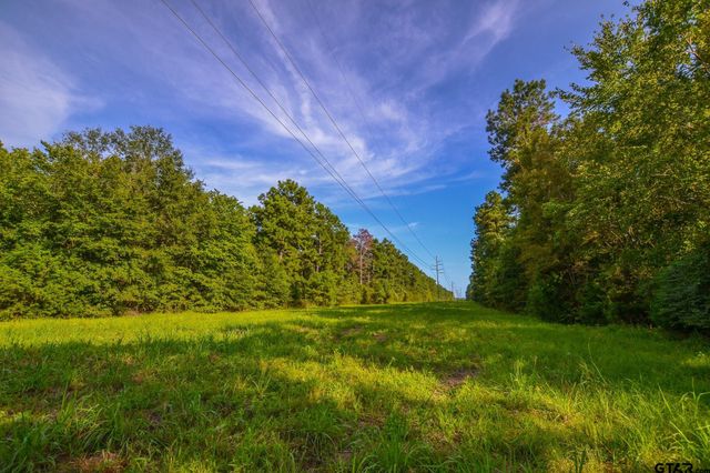 Tract 13 CR 4224, Frankston, TX 75763