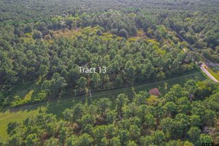 Tract 13 CR 4224, Frankston, TX 75763