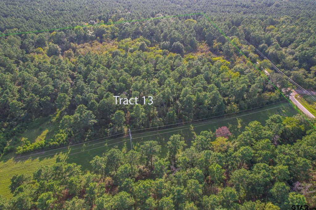 Tract 13 CR 4224, Frankston, TX 75763