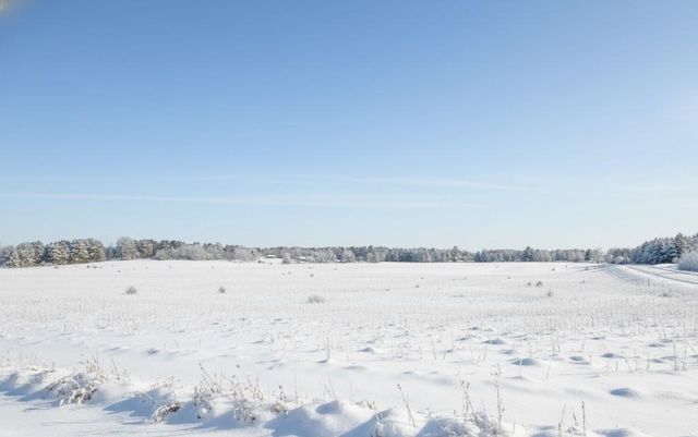 2946 Bowerman Road, Paradise Twp, MI 49649