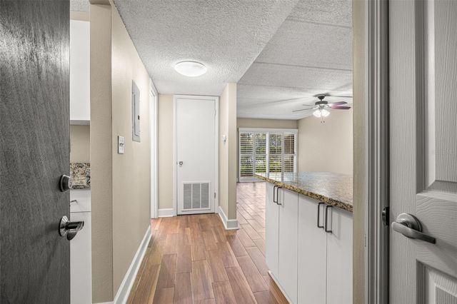 3325 BAYSHORE BOULEVARD B13, Tampa, FL 33629