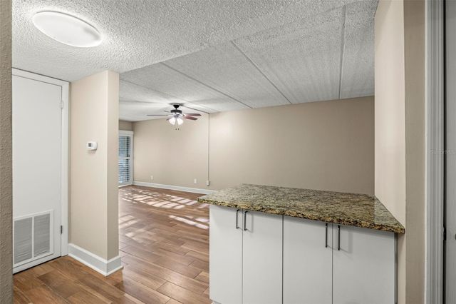 3325 BAYSHORE BOULEVARD B13, Tampa, FL 33629