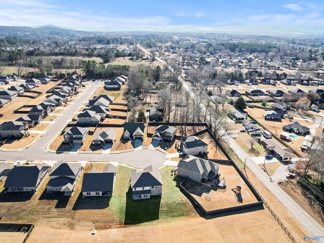 103 Rose Valley Drive, New Market, AL 35761