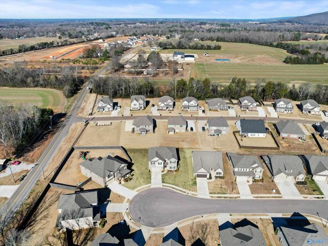 103 Rose Valley Drive, New Market, AL 35761