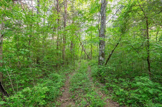 4751 Thick Rd, Chapel Hill, TN 37034
