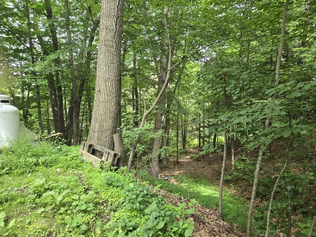208 NH Route 3A, Hill, NH 03243