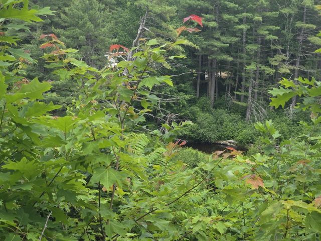 208 NH Route 3A, Hill, NH 03243