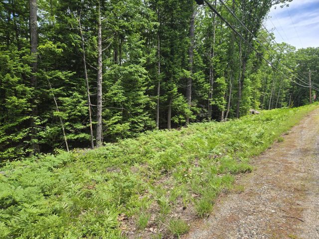 208 NH Route 3A, Hill, NH 03243
