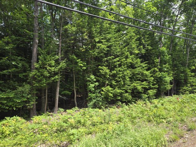 208 NH Route 3A, Hill, NH 03243