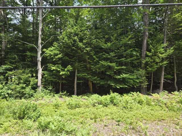 208 NH Route 3A, Hill, NH 03243