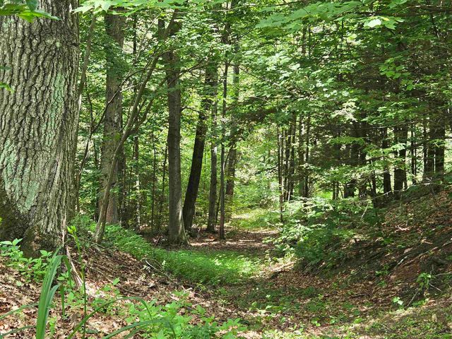 208 NH Route 3A, Hill, NH 03243