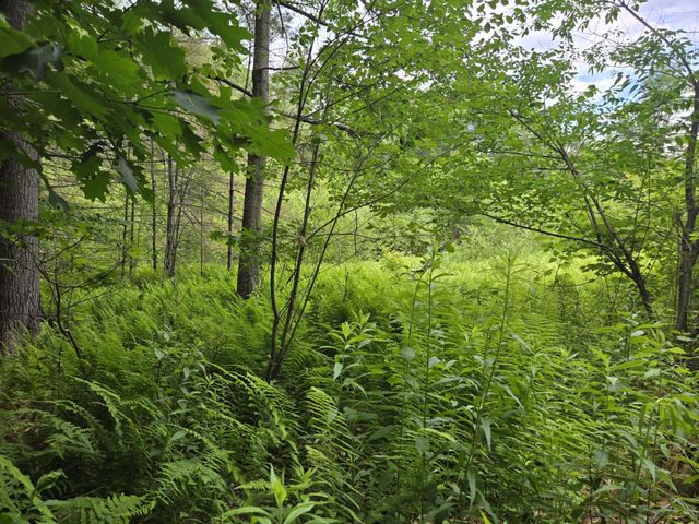 208 NH Route 3A, Hill, NH 03243