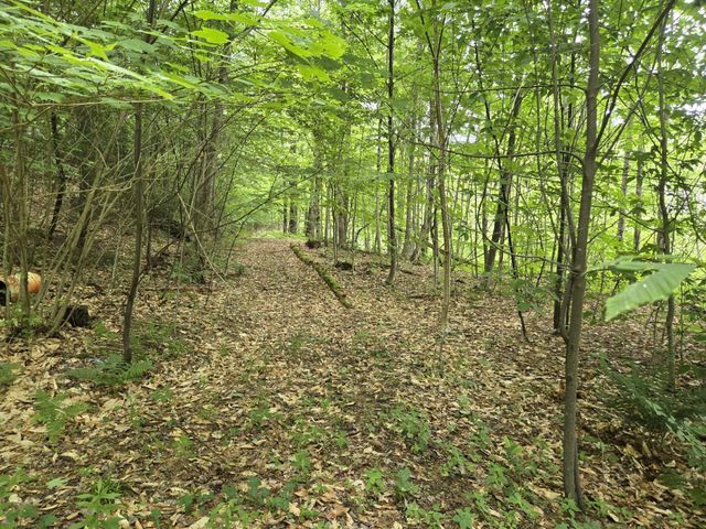 208 NH Route 3A, Hill, NH 03243