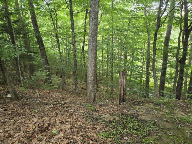 208 NH Route 3A, Hill, NH 03243