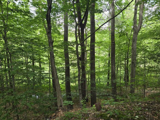 208 NH Route 3A, Hill, NH 03243