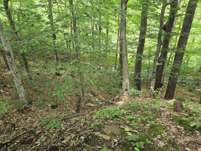 208 NH Route 3A, Hill, NH 03243
