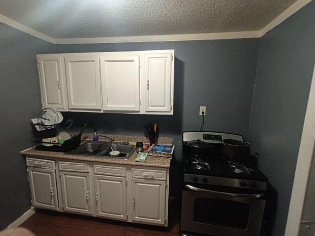 11914 Anchick Street, Houston, TX 77076