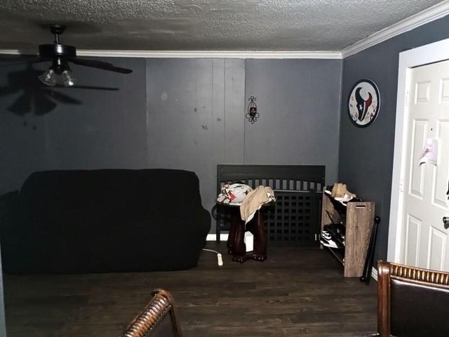 11914 Anchick Street, Houston, TX 77076