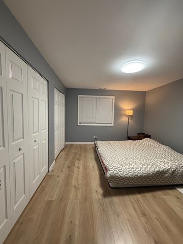 1498 E Ports O'Call Drive 2S, Palatine, IL 60067