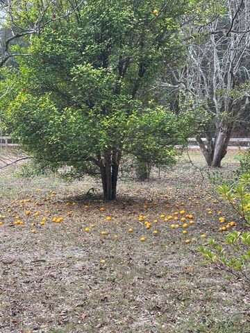 479 County Road 30, Ozark, AL 36360