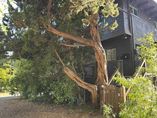 2638 Warring St A, Berkeley, CA 94704
