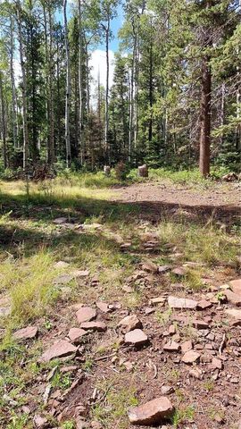 3079 Henderson Drive, Fort Garland, CO 81133