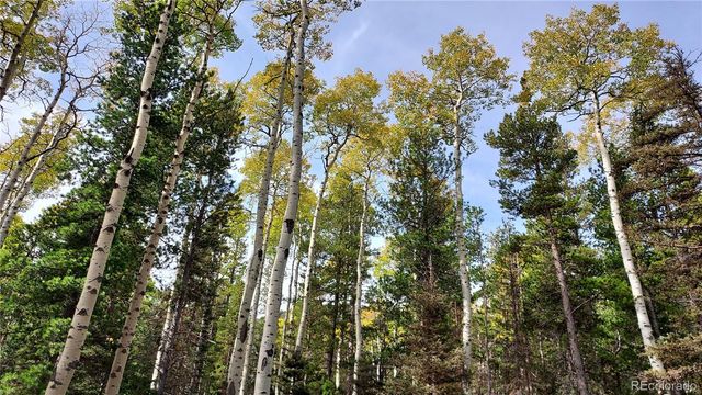 3079 Henderson Drive, Fort Garland, CO 81133