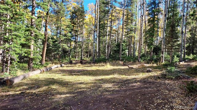 3079 Henderson Drive, Fort Garland, CO 81133