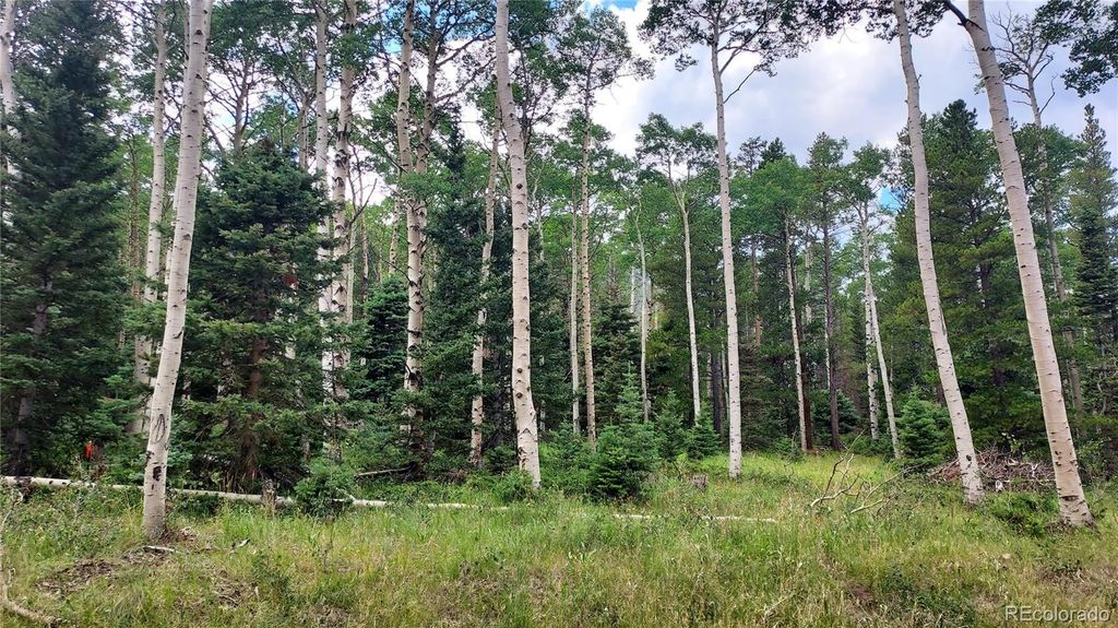 3079 Henderson Drive, Fort Garland, CO 81133