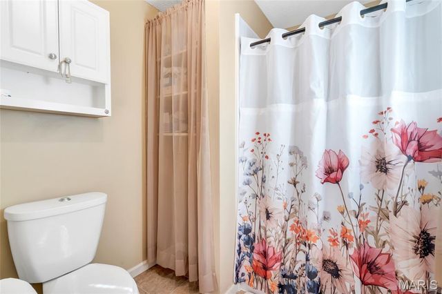 1135 Common Field Street, Portage Des Sioux, MO 63373