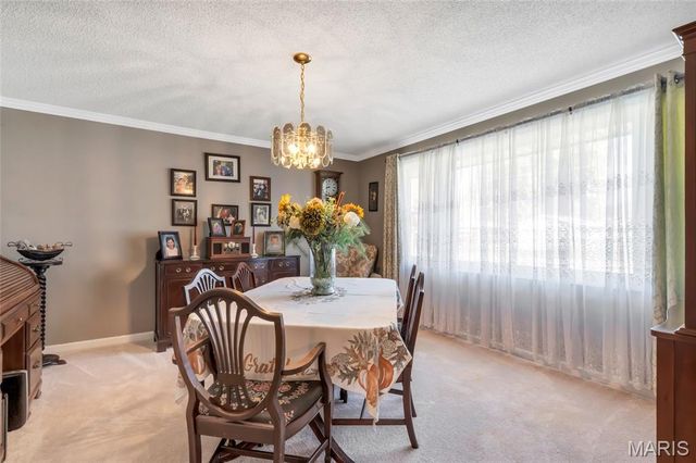 1135 Common Field Street, Portage Des Sioux, MO 63373