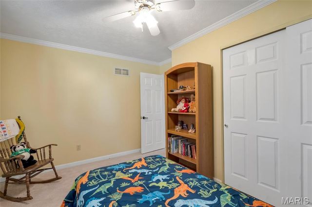 1135 Common Field Street, Portage Des Sioux, MO 63373