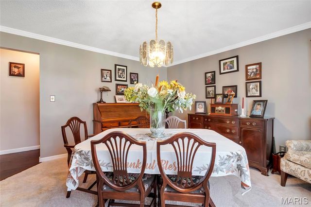 1135 Common Field Street, Portage Des Sioux, MO 63373