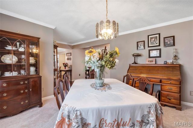 1135 Common Field Street, Portage Des Sioux, MO 63373