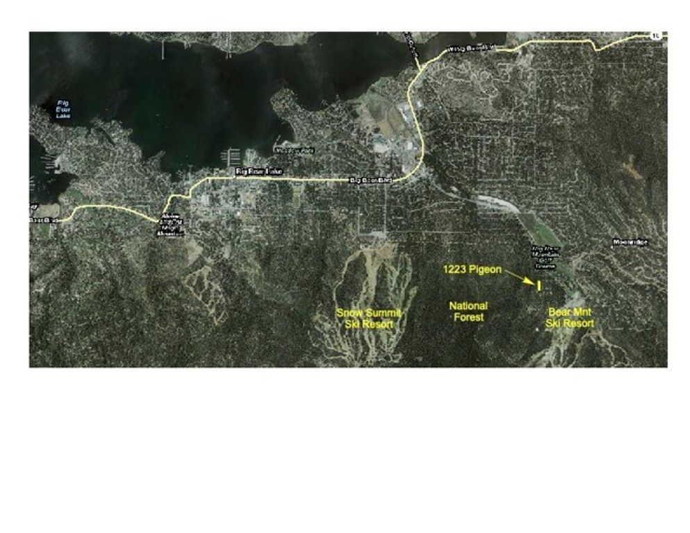 1223 Pigeon, Big Bear Lake, CA 92315