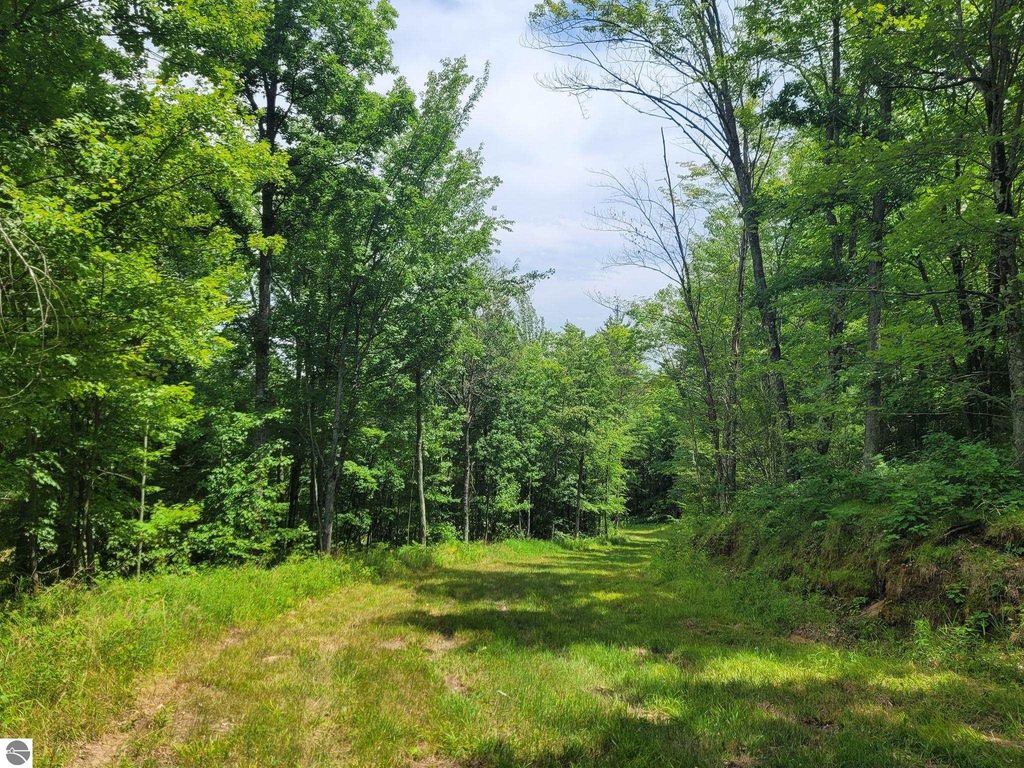 Image 11 of property listing at 0 W M-55, Wellston, MI 49689