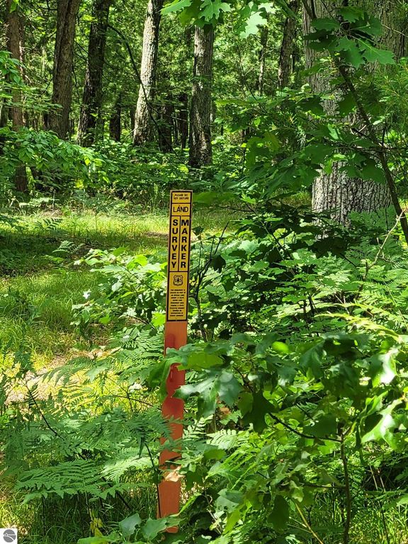 Image 13 of property listing at 0 W M-55, Wellston, MI 49689